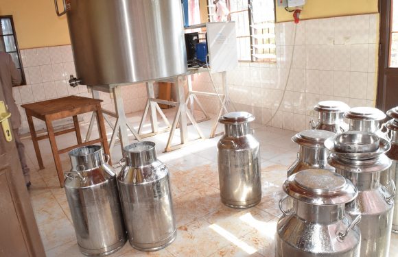 Burundi : Ouverture d’un centre communal de collecte de lait / GITEGA
