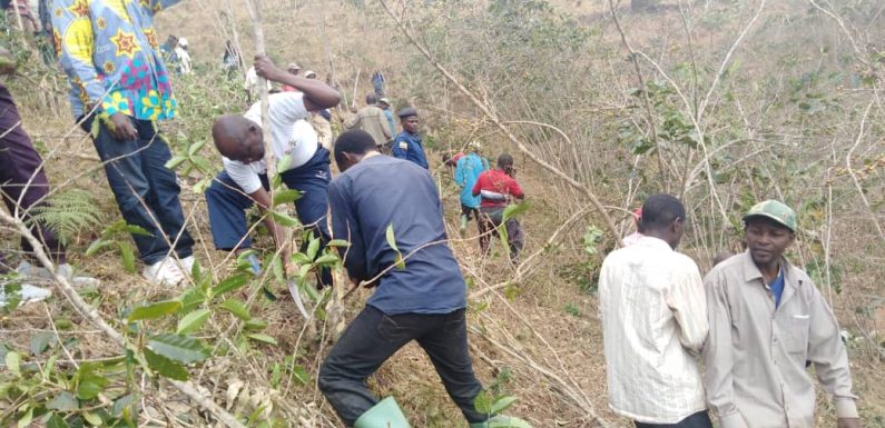 BURUNDI : TDC – Tailler et Pailler en commune BUYENGERO, RUMONGE