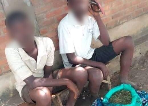 BURUNDI : 2 jeunes dealers arrêtés avec 5 kilo de CHANVRE de RDC / CIBITOKE