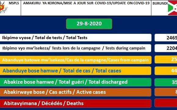 BURUNDI / COVID-19 :  87 cas positifs sur 445,  357 guéris, 24659 tests et 1 décès particulier,  29-08-2020