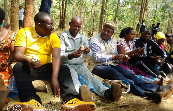 BURUNDI : La fête communale en commune BUHIGA / KARUSI