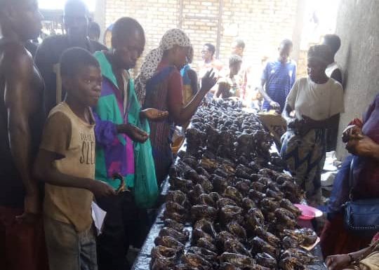 BURUNDI : Les MUKEKE inondent le marché de BUBANZA