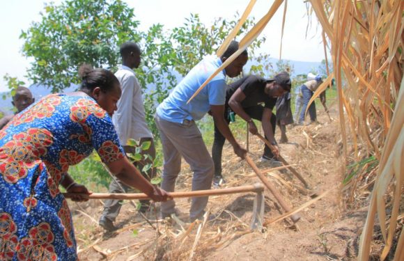 BURUNDI : TDC –  Assainir les courbes de niveau en commune KANYOSHA