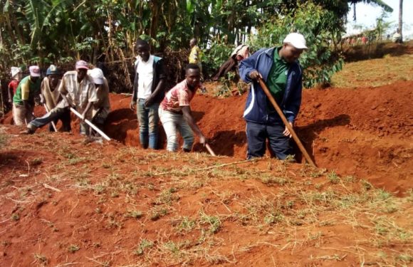 BURUNDI : TDC – Traçage des haies anti-érosives à GIHOGAZI, KARUSI