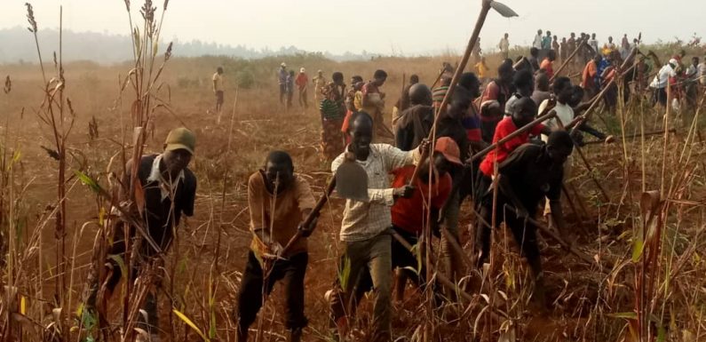 BURUNDI : TDC – Labourer un champ de 2 ha pour les nécessiteux de KIRUNDO