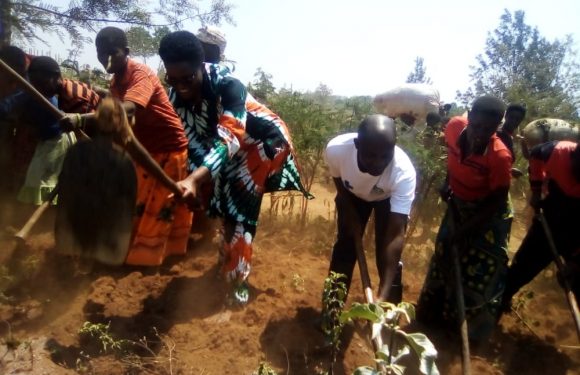 BURUNDI : TDC – Cultiver les champs en colline CANZIKIRO / KARUSI