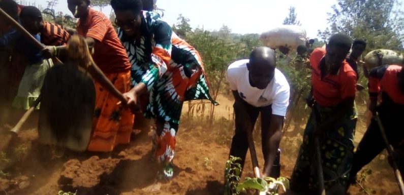 BURUNDI : TDC – Cultiver les champs en colline CANZIKIRO / KARUSI