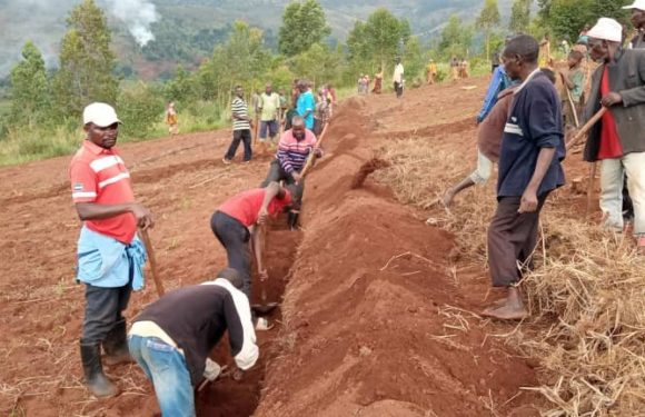 BURUNDI : TDC – Tracer des courbes de niveau en colline KIBOGOYE à MUYINGA