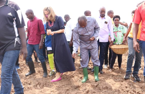 BURUNDI : Le Chef d’Etat lance la saison culturale A à KANYOSHA, BUJUMBURA