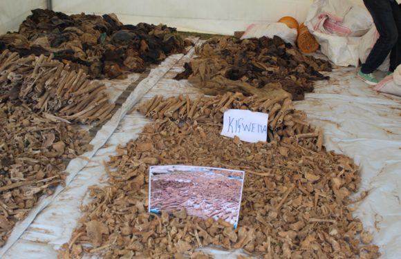 GENOCIDE DE 1972 CONTRE LES HUTU DU BURUNDI : 2.328 victimes exhumées à RUMONGE et MAKAMBA
