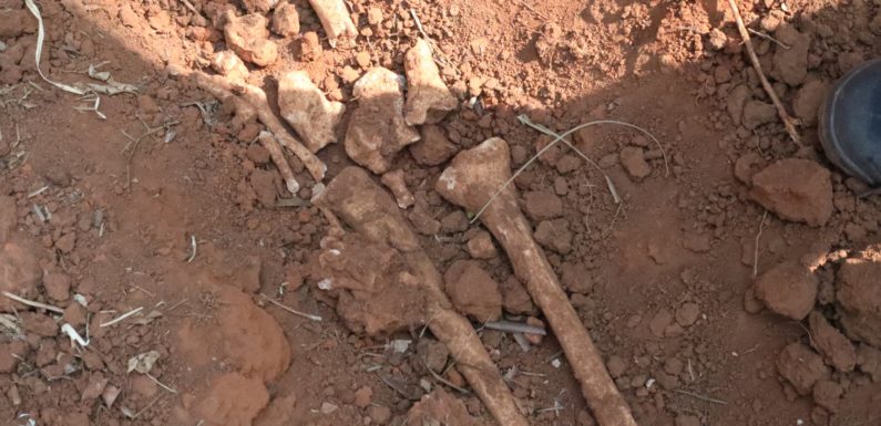 GENOCIDE DE 1972 CONTRE LES HUTU DU BURUNDI : 2 fosses communes à KIGWENA / RUMONGE