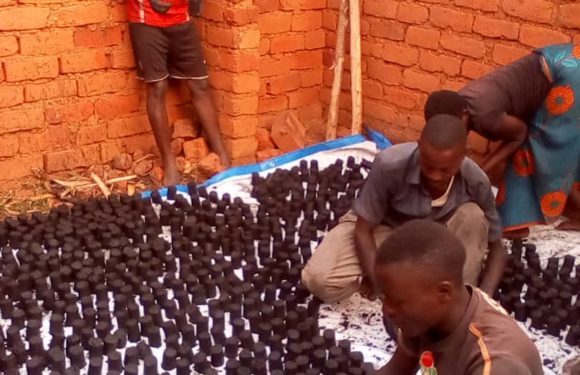 BURUNDI : Produire des champignons et un charbon sans couper les arbres, MAKAMBA