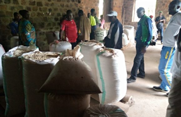 BURUNDI : Les coopératives SANGWE de RUYIGI vers la transformation agroalimentaire