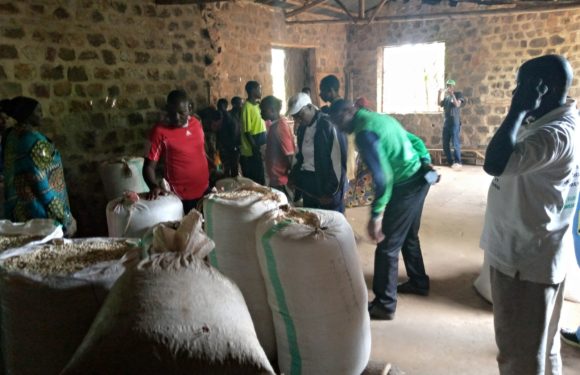BURUNDI : Le CNDD-FDD BWERU évalue 14 coopératives collinaires SANGWE à RUYIGI