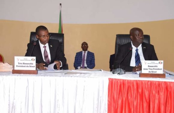 BURUNDI : Le Sénat adopte le projet de loi relatif aux procédures fiscales et non fiscales