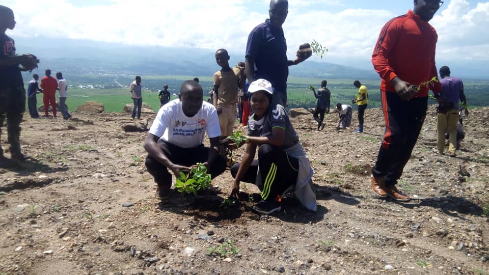 BURUNDI :  6.203 eucalyptus plantés en colline KIBANGU à BUBANZA