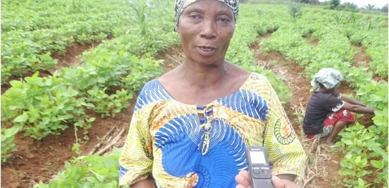 BURUNDI : Succès des coopératives SANGWE en commune RUMONGE