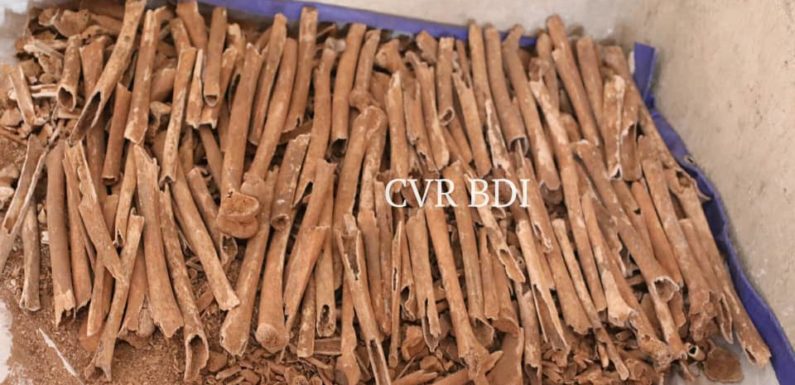 GENOCIDE CONTRE LES HUTU DU BURUNDI EN 1972 : 128 corps dans 87 fosses communes à GASURA et GISENYI / KIRUNDO