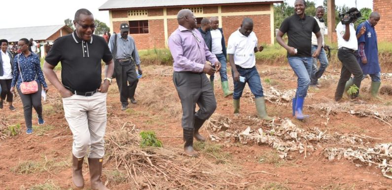 BURUNDI : Visite des caféiers de NYABIBUGA à NYABIHANGA / MWARO