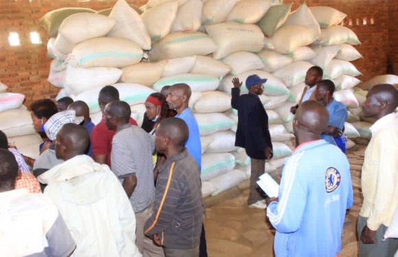 BURUNDI : Les caféiculteurs parlent du prix au kilo du café à BURAMBI / RUMONGE