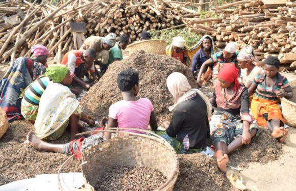 BURUNDI : Un entrepreneur produit 500 l d’huile de palme par mois à GAHIRO / RUTANA