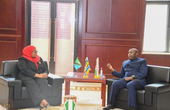 BURUNDI / TANZANIE : Arrivée de S.E. SULUHU à NTARE RUSHATSI HOUSE