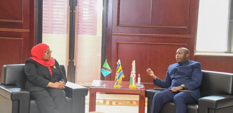 BURUNDI / TANZANIE : Arrivée de S.E. SULUHU à NTARE RUSHATSI HOUSE