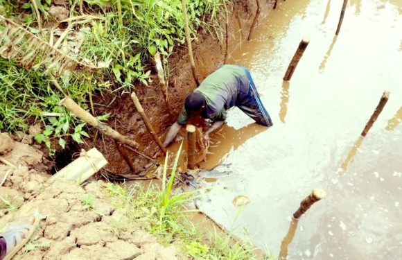 BURUNDI : VICOBA a produit 200 kg de poissons à NYAMURENZA / NGOZI
