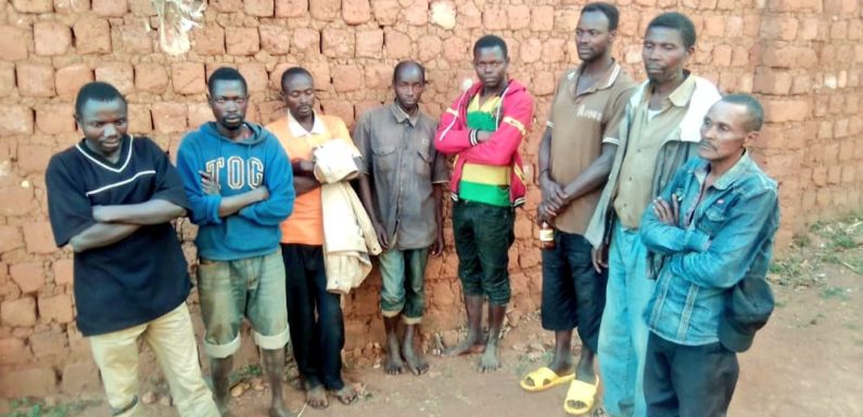 BURUNDI : 8 présumés commissionnaires arrêtés au marché de bétail de KWIBUYE / MURAMVYA
