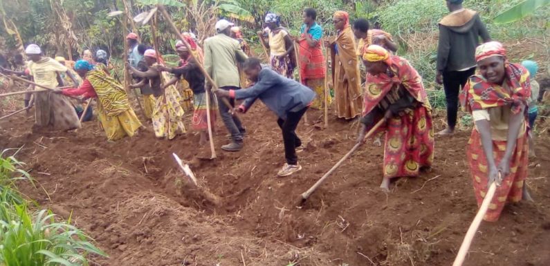 BURUNDI : TDC – Tracer une piste reliant les collines RUVUMU et KIGANDA / MURAMVYA
