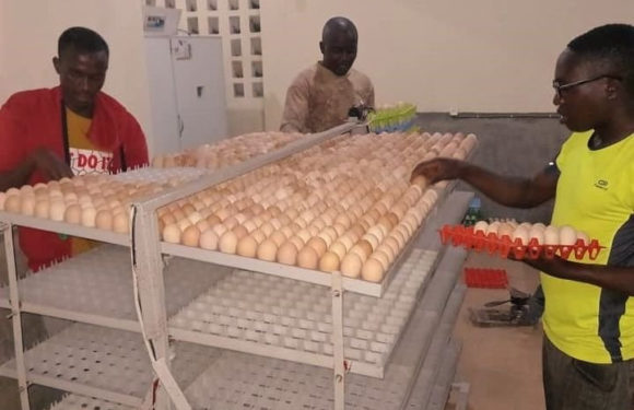 BURUNDI : SOPRAV met un incubateur d’oeuf à GASHIKANWA / NGOZI