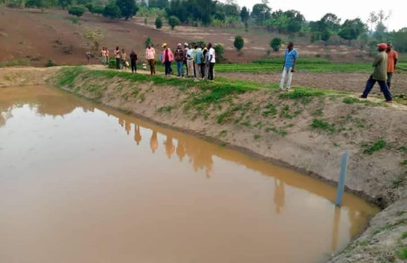 BURUNDI : Du poisson en colline SHORE à GITOBE / KIRUNDO