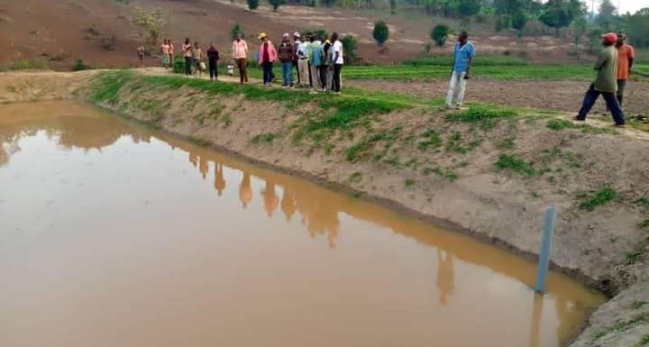 BURUNDI : Du poisson en colline SHORE à GITOBE / KIRUNDO