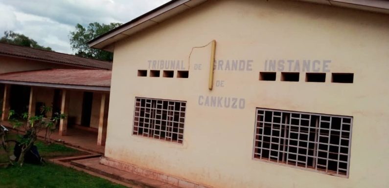 BURUNDI / JUSTICE : Loi sur la stabulation – 1 éleveur condamné à CANKUZO