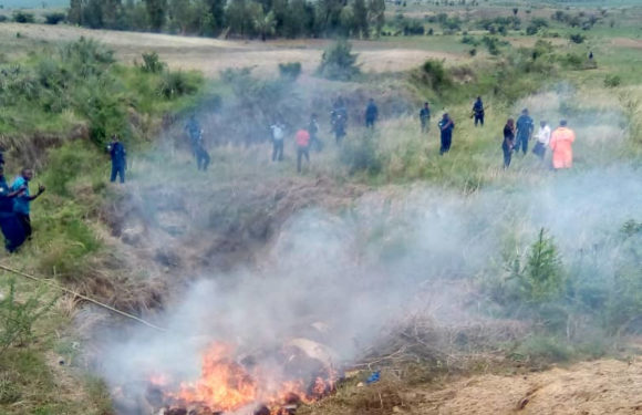 BURUNDI : La police détruit 933 kg de stupéfiants saisis en 2021 / BUBANZA