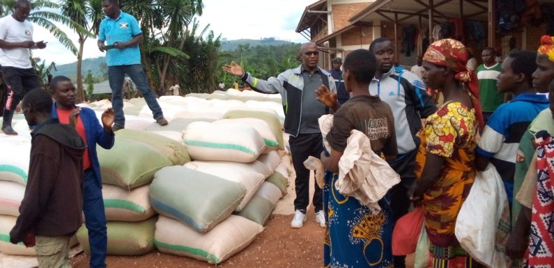 BURUNDI : Don de 117 t de maïs à 7.498 familles à KIREMBA / NGOZI