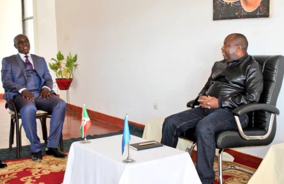 BURUNDI : La RDC CONGO constate un pays en surproduction agricole / MAKAMBA