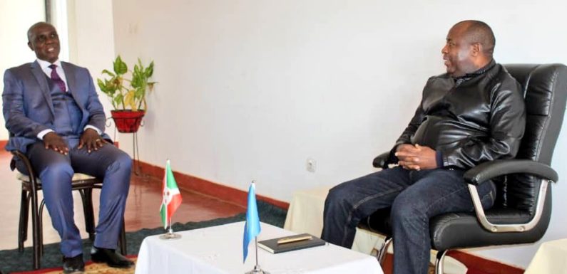 BURUNDI : La RDC CONGO constate un pays en surproduction agricole / MAKAMBA