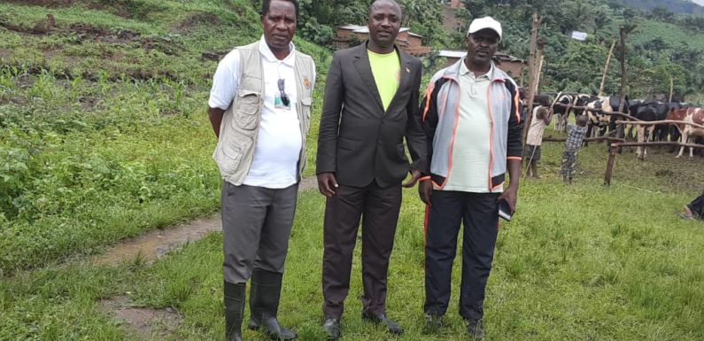 BURUNDI : Don de 105 bovins à des citoyens paupérisés de BUGARAMA / RUMONGE