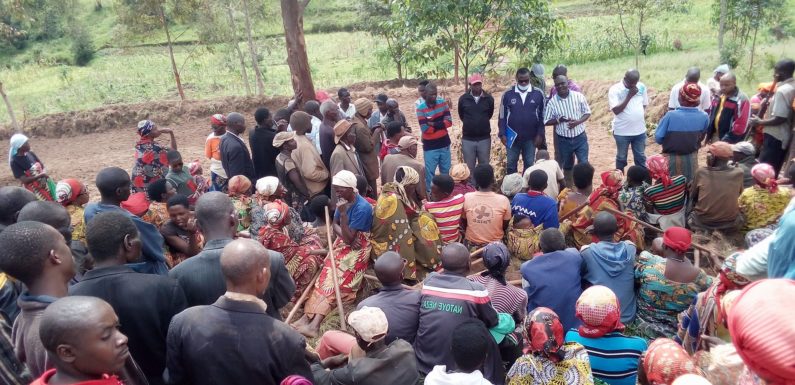 BURUNDI : Les cultures maraîchères à GASHANGA, BISORO / MWARO