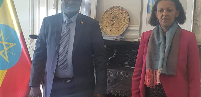 BuRuNDi / ETHIOPIE : Amb. NTaHiRaJa Thérence reçoit Amb. HiRuT ZeMeNe, Bruxelles, BELGIQUE