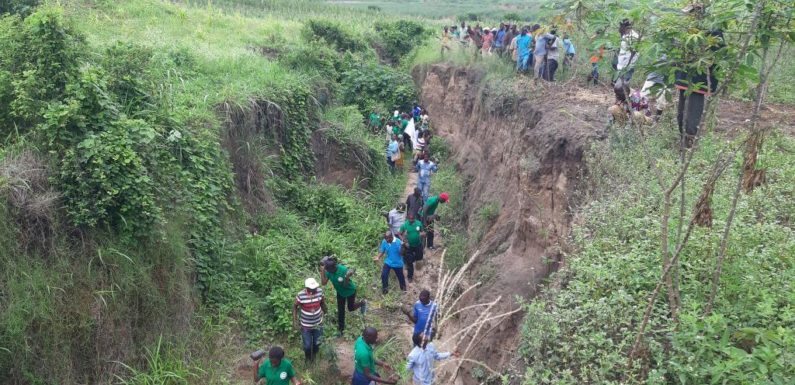 BuRuNDi : TDC – L’ONPR plante du bambous pour stabiliser un ravin à BuGaNDa, Cibitoke