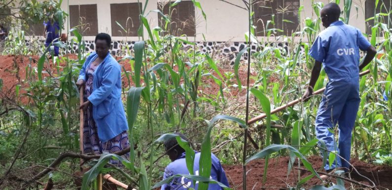 Génocide contre les BaHuTu en 1972 au BuRuNDi : 27 fosses communes trouvées à NGoZi