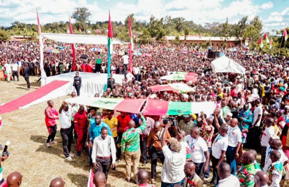 BuRuNDi : 3500 militants, majoritairement ex-CNL, entrent au CNDD-FDD à GiTeRaNYi / MuYiNGa