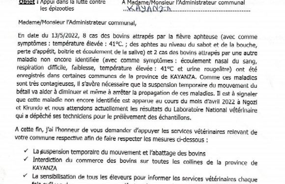 Burundi : 8 cas de fièvre aphteuse chez les bovins détectés à Kayanza