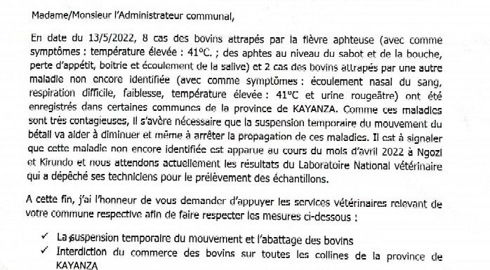 Burundi : 8 cas de fièvre aphteuse chez les bovins détectés à Kayanza