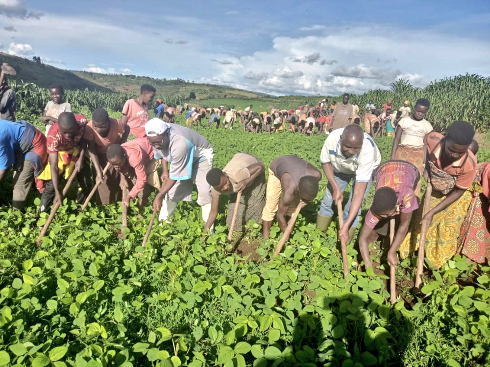 bdi burundi soja karusi 01 26042022 abp