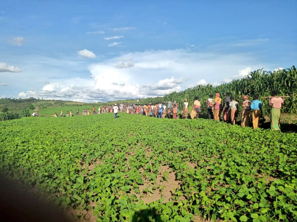 bdi burundi soja karusi 02 26042022 abp