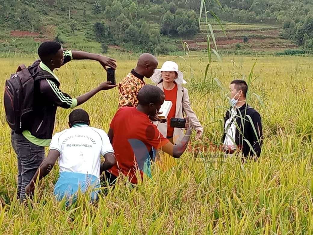 bdi burundi chine riz 03 30052022 jimberemagazine