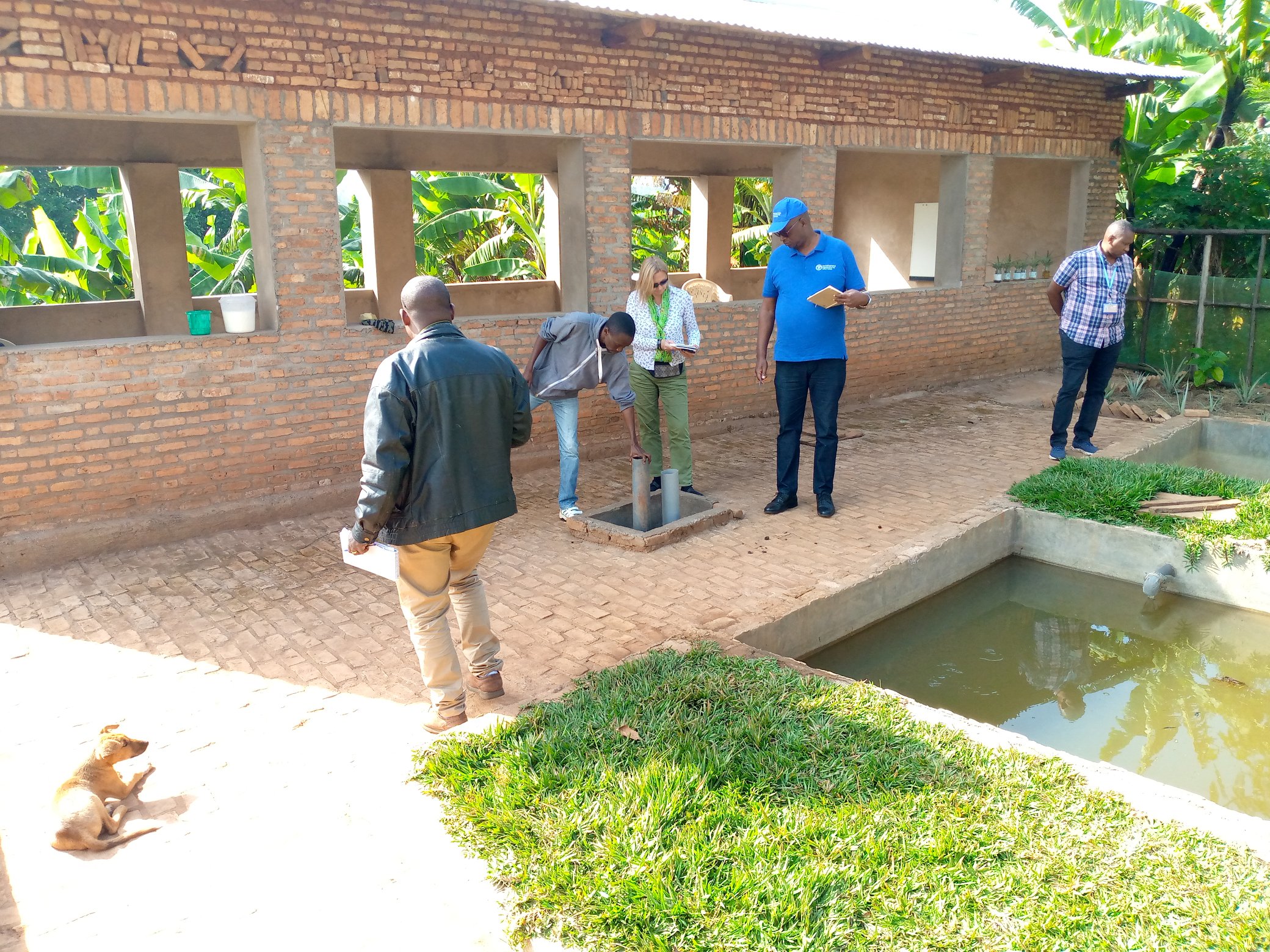 bdi burundi economiefao 03 09062022 maisondufermier